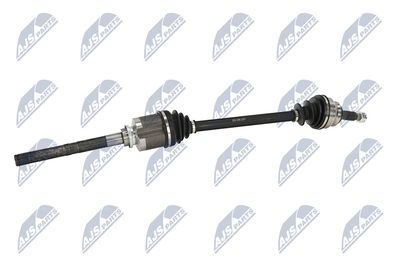 PLANETARA NTY NPWMS086 24