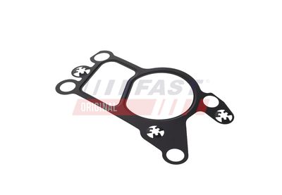 GARNITURA VENTIL AGR FAST FT50623 19