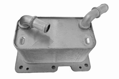 RADIATOR ULEI ULEI MOTOR VEMO V95600030 1