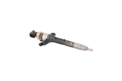 INJECTOR REMANTE 002003000101R 49
