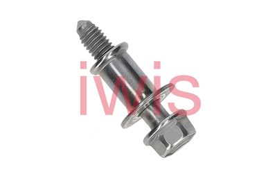 SURUB CAPAC SUPAPE AIC 60823