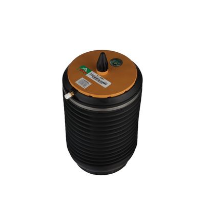 LUFTFEDER FAHRWERK Arnott A3891 55