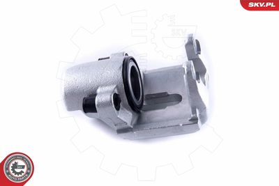 Brake Caliper 55SKV601