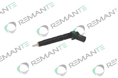 INJECTOR REMANTE 002003002289R 5