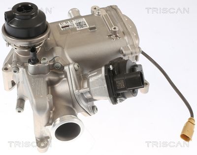 Клапан возврата ОГ TRISCAN 8813 29013 для AUDI A7