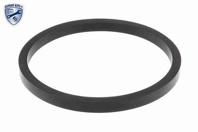 RADIATOR ULEI ULEI MOTOR VEMO V22600045 1