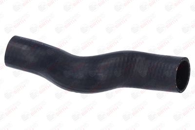FURTUN EAR SUPRAALIMENTARE BIRTH 55888 6