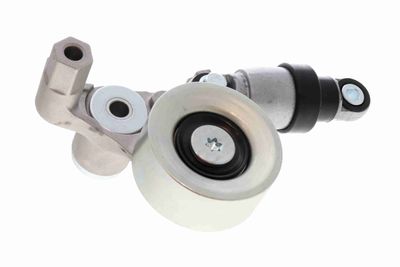 INTINZATOR CUREA CUREA DISTRIBUTIE