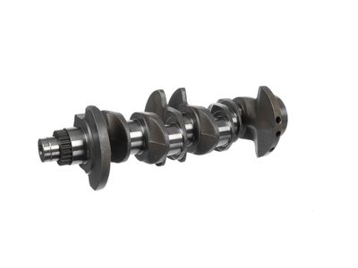 ARBORE COTIT ET ENGINETEAM HK0230 15