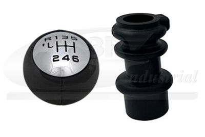 MACIULIE MANETA SCHIMBAT.VIT.