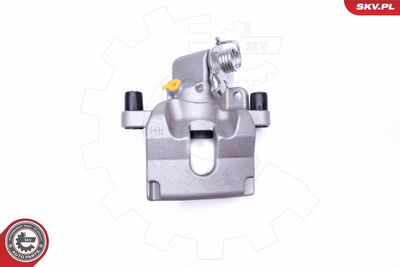 Brake Caliper 42SKV544