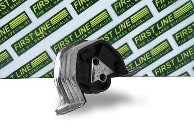 окачване, двигател FIRST LINE FEM3018
