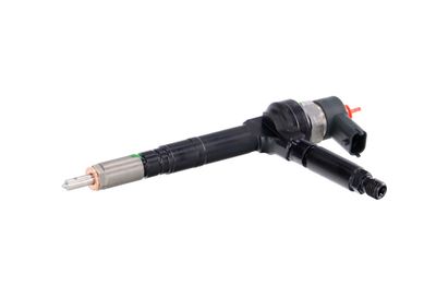 INJECTOR REMANTE 002003001094R 7