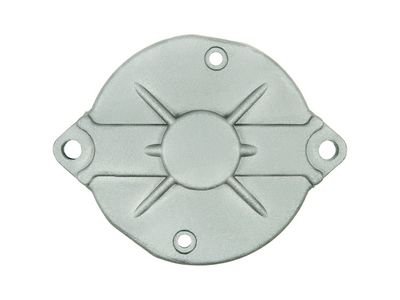 AS-PL Starterdeckel, Vergaser
