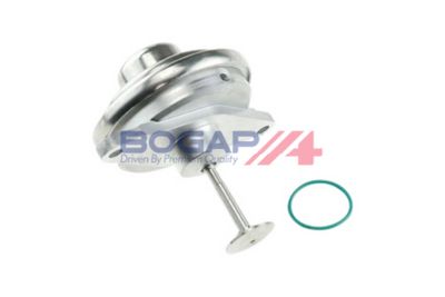 SUPAPA RECIRCULARE GAZE DE ESAPAMENT