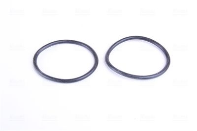 RADIATOR RACIRE MOTOR NISSENS 606015 4