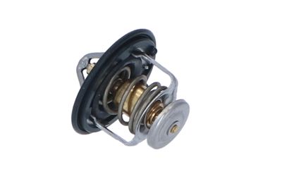 TERMOSTAT LICHID RACIRE NRF 725143 21