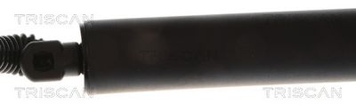 AMORTIZOR PORTBAGAJ TRISCAN 871043311 2