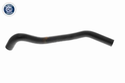 KüHLERSCHLAUCH VAICO V102807 6