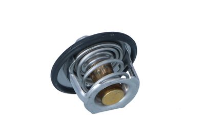 TERMOSTAT LICHID RACIRE NRF 725305 13