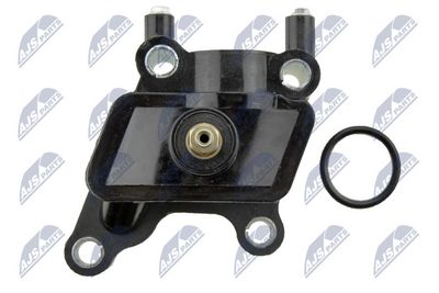 FLANSA LICHID RACIRE NTY CTMCH029 2