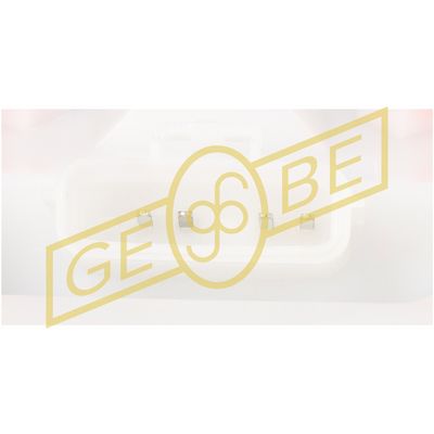 SISTEM ALIMENTARE CU COMBUSTIBIL GEBE 960751 2