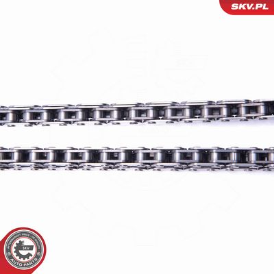 CHIT LANT DE DISTRIBUTIE ESEN SKV 21SKV114 2