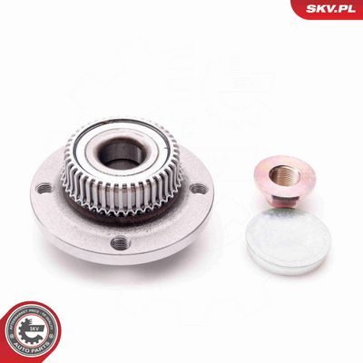 SET RULMENT ROATA ESEN SKV 29SKV012 1