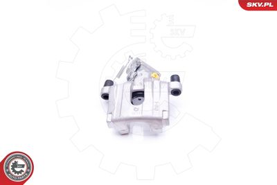 Brake Caliper 42SKV343