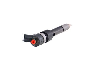 INJECTOR REMANTE 002003001695R 31