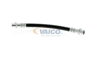 FURTUN FRANA VAICO V104136 13