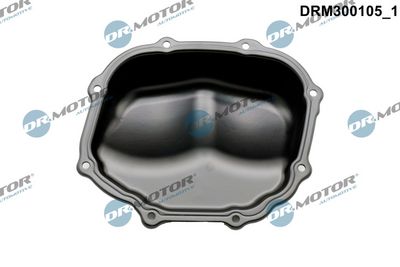 ACOPERIRE CARCASă DISTRIBUțIE Dr.Motor Automotive DRM300105 1