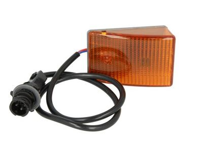 Controlelampje, zijkant Rechts (kleur van het glas: oranje, P21W, met lampvoet)