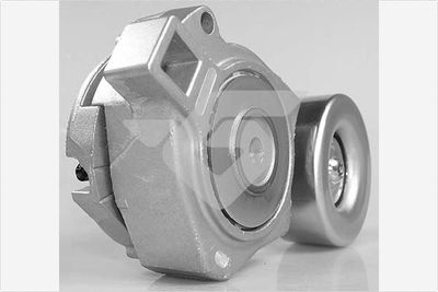 ROLA INTINZATOR CUREA TRANSMISIE