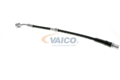 FURTUN FRANA VAICO V404110 19