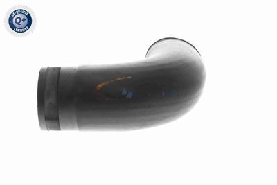 LADELUFTSCHLAUCH VAICO V102887 5