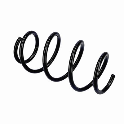 ARC SPIRAL EIBACH R20796 21