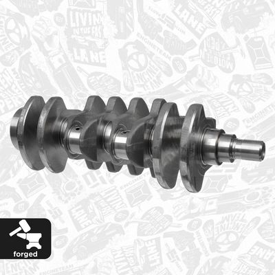 ARBORE COTIT ET ENGINETEAM HK0205 1