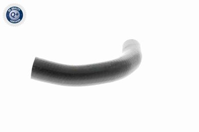 FURTUN EAR SUPRAALIMENTARE VAICO V240728 4