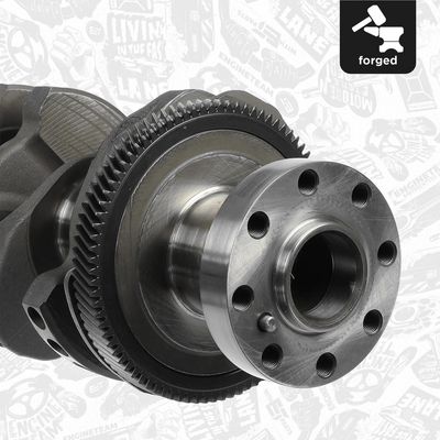 ARBORE COTIT ET ENGINETEAM HK0220 3