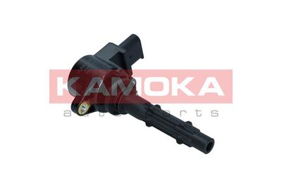 Ignition Coil 7120136