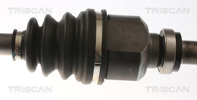 PLANETARA TRISCAN 854010554 2