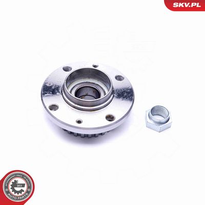 SET RULMENT ROATA ESEN SKV 29SKV197 1