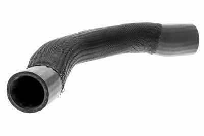 FURTUN EAR SUPRAALIMENTARE