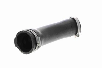 FURTUN EAR SUPRAALIMENTARE