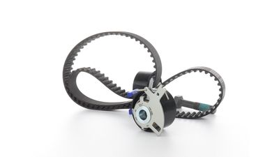 SET CUREA DE DISTRIBUTIE SKF VKMA03305 15