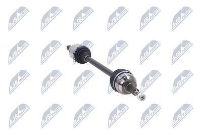 PLANETARA NTY NPWCH126 14