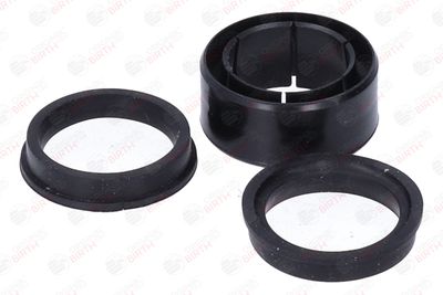 BUCSA ARBORE DE DIRECTIE BIRTH 4321 2