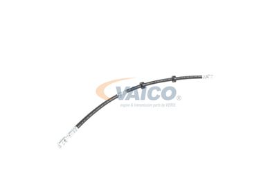 FURTUN FRANA VAICO V104226 46