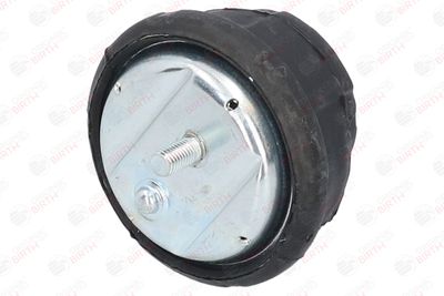 SUPORT MOTOR BIRTH 50122 9